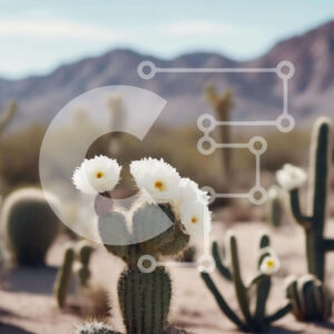 Intra Συλλεκτικό Ξύλινο Παζλ Plywood  4mm - Φυτά κάκτων στην έρημο με λευκά λουλούδια και βουνά Σε Ξύλινο Κουτί - Διαστάσεις: 10x10 cm – 25 κομμάτια