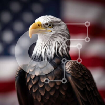 Intra Συλλεκτικό Ξύλινο Παζλ Plywood  4mm - Άγαλμα φαλακρού αετού με αμερικανική σημαία Σε Ξύλινο Κουτί - Διαστάσεις Puzzle: 10x10 cm – 25 κομμάτια - Image 1