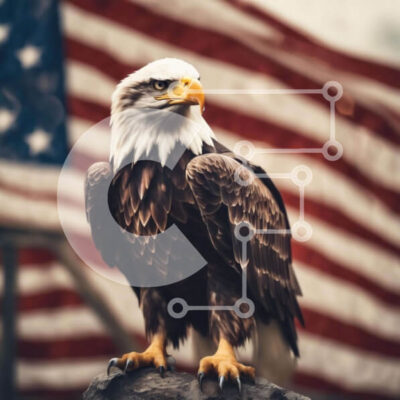 Intra Συλλεκτικό Ξύλινο Παζλ Plywood 4mm - Majestic Eagle σκαρφαλωμένος σε βράχο με αμερικανική σημαία Σε Ξύλινο Κουτί - Διαστάσεις: 10x10 cm – 25 κομμάτια - Image 1