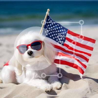 Intra Συλλεκτικό Ξύλινο Παζλ Plywood 4mm - Λευκό σκυλί με αμερικανική σημαία στην παραλία Σε Ξύλινο Κουτί - Διαστάσεις Puzzle: 10x10 cm – 25 κομμάτια - Image 1