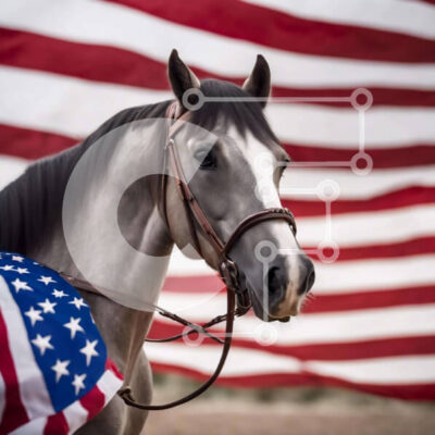 Intra Συλλεκτικό Ξύλινο Παζλ Plywood  4mm - Γκρίζο άλογο μπροστά από την αμερικανική σημαία με το χαλινάρι Σε Ξύλινο Κουτί - Διαστάσεις: 10x10 cm – 25 κομμάτια - Image 1