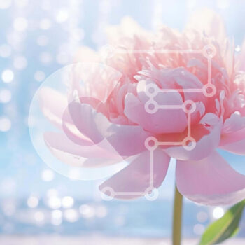 Intra Συλλεκτικό Ξύλινο Παζλ Plywood 4mm - Pink Flower από Indoor Water Fountain Σε Ξύλινο Κουτί - Διαστάσεις: 10x10 cm – 25 κομμάτια - Image 1