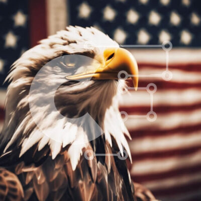 Intra Συλλεκτικό Ξύλινο Παζλ Plywood  4mm - Μεγαλοπρεπής αετός μπροστά από την αμερικανική σημαία Σε Ξύλινο Κουτί - Διαστάσεις: 10x10 cm – 25 κομμάτια - Image 1