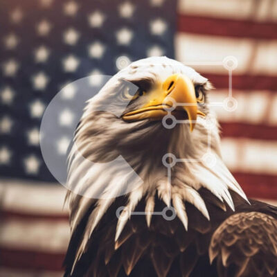 Intra Συλλεκτικό Ξύλινο Παζλ Plywood  4mm - Κοντινό πλάνο του αετού με την αμερικανική σημαία Σε Ξύλινο Κουτί - Διαστάσεις: 10x10 cm – 25 κομμάτια - Image 1