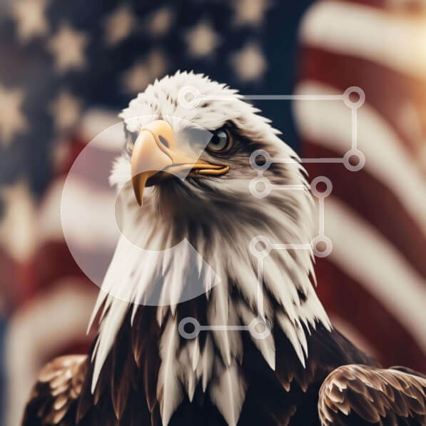 2ik9DpTl1J6ObX0xVGkYLpjYD4e-desktop