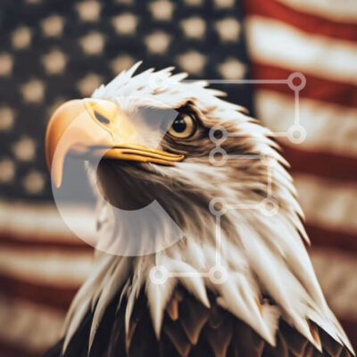 Intra Συλλεκτικό Ξύλινο Παζλ Plywood  4mm - Μεγαλοπρεπής αετός μπροστά από την αμερικανική σημαία Σε Ξύλινο Κουτί - Διαστάσεις: 10x10 cm – 25 κομμάτια - Image 1