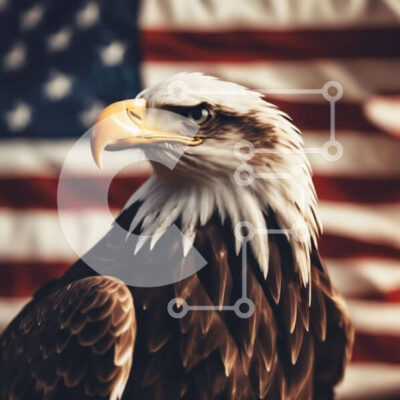 Intra Συλλεκτικό Ξύλινο Παζλ Plywood 4mm - Φαλακρός αετός με αμερικανική σημαία Σε Ξύλινο Κουτί - Διαστάσεις: 10x10 cm – 25 κομμάτια - Image 1