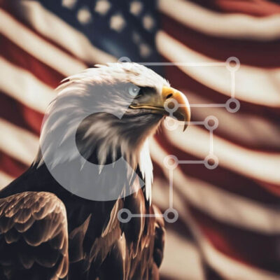 Intra Συλλεκτικό Ξύλινο Παζλ Plywood  4mm - Φαλακρός αετός μπροστά από την αμερικανική σημαία Σε Ξύλινο Κουτί - Διαστάσεις: 10x10 cm – 25 κομμάτια - Image 1