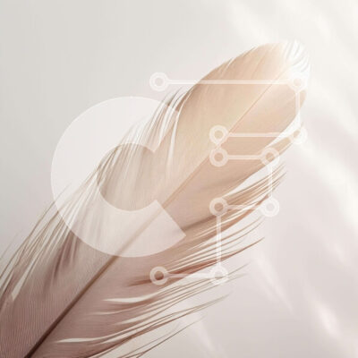 Intra Συλλεκτικό Ξύλινο Παζλ Plywood  4mm - Μονό λευκό φτερό στο τραπέζι Σε Ξύλινο Κουτί - Διαστάσεις: 10x10 cm – 25 κομμάτια - Image 1