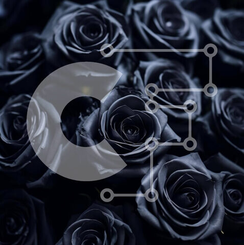 Intra Συλλεκτικό Ξύλινο Παζλ Plywood  4mm - Κομψό μπουκέτο με μαύρα τριαντάφυλλα Σε Ξύλινο Κουτί - Διαστάσεις Puzzle: 10x10 cm – 25 κομμάτια - Image 1