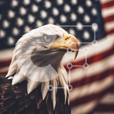 Intra Συλλεκτικό Ξύλινο Παζλ Plywood  4mm - Φαλακρός αετός μπροστά από την αμερικανική σημαία Σε Ξύλινο Κουτί - Διαστάσεις: 10x10 cm – 25 κομμάτια - Image 1