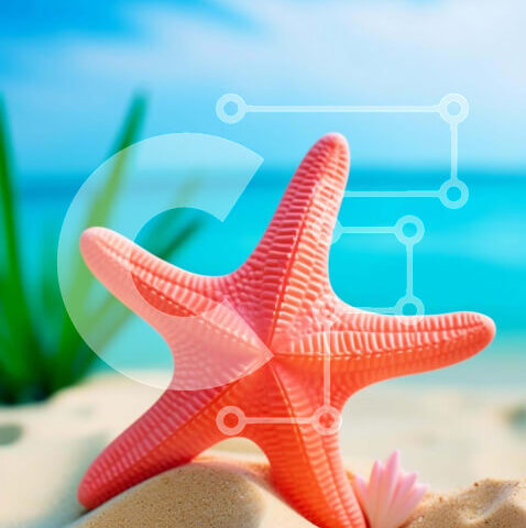 Intra Συλλεκτικό Ξύλινο Παζλ Plywood  4mm - Ροζ αστερίας στην αμμώδη παραλία κοντά στον ωκεανό Σε Ξύλινο Κουτί - Διαστάσεις: 10x10 cm – 25 κομμάτια - Image 1