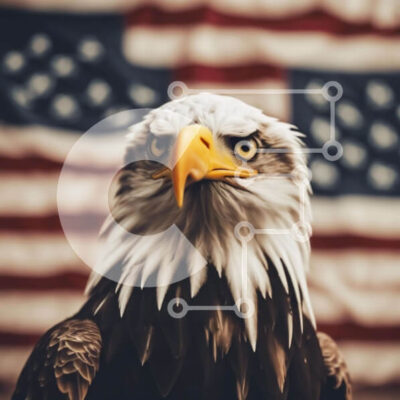 Intra Συλλεκτικό Ξύλινο Παζλ Plywood  4mm - Φαλακρός αετός και αμερικανική σημαία Σε Ξύλινο Κουτί - Διαστάσεις: 10x10 cm – 25 κομμάτια - Image 1