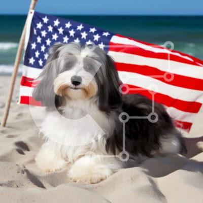 Intra Συλλεκτικό Ξύλινο Παζλ Plywood  4mm - Μικρό σκυλί στην παραλία με αμερικανική σημαία Σε Ξύλινο Κουτί - Διαστάσεις Puzzle: 10x10 cm – 25 κομμάτια - Image 1