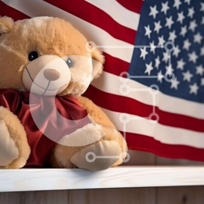 Intra Συλλεκτικό Ξύλινο Παζλ Plywood  4mm - Αρκουδάκι με αμερικανική σημαία στο ράφι Σε Ξύλινο Κουτί - Διαστάσεις: 10x10 cm – 25 κομμάτια - Image 1