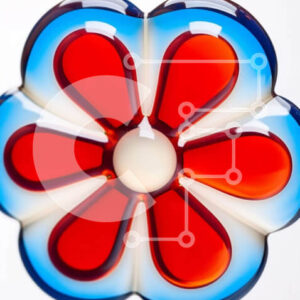 Intra Συλλεκτικό Ξύλινο Παζλ Plywood  4mm - Πολύχρωμο αντικείμενο σε σχήμα λουλουδιού Σε Ξύλινο Κουτί - Διαστάσεις: 10x10 cm – 25 κομμάτια