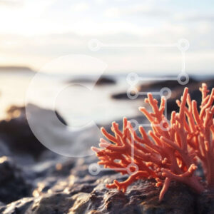 Intra Συλλεκτικό Ξύλινο Παζλ Plywood  4mm - Φυτό πορτοκαλιού φυκιών κοντά στο νερό Σε Ξύλινο Κουτί - Διαστάσεις: 10x10 cm – 25 κομμάτια