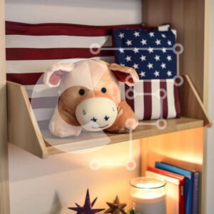 Intra Συλλεκτικό Ξύλινο Παζλ Plywood  4mm - Διακόσμηση ραφιών με βιβλία, κεριά και αμερικανική σημαία Σε Ξύλινο Κουτί - Διαστάσεις: 10x10 cm – 25 κομμάτια