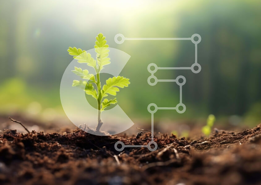 Intra Συλλεκτικό Ξύλινο Παζλ Plywood  4mm - Μικρό πράσινο φυτό που αναπτύσσεται από το έδαφος Σε Ξύλινο Κουτί - Διαστάσεις: 10x10 cm – 25 κομμάτια