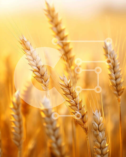 2ikA8UtDorr0hq9MM7ZFUbCEp9g-desktop