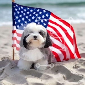 Intra Συλλεκτικό Ξύλινο Παζλ Plywood  4mm - Πατριωτικό σκυλί στην παραλία με την αμερικανική σημαία Σε Ξύλινο Κουτί - Διαστάσεις: 10x10 cm – 25 κομμάτια