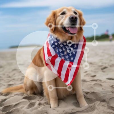 Intra Συλλεκτικό Ξύλινο Παζλ Plywood  4mm - Σκύλος Γκόλντεν Ριτρίβερ με Μπαντάνα με αμερικανική σημαία στην παραλία Σε Ξύλινο Κουτί - Διαστάσεις: 10x10 cm – 25 κομμάτια - Image 1