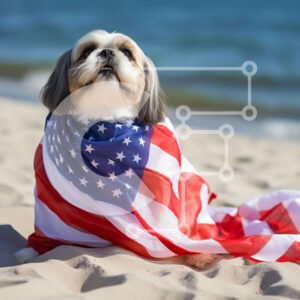 Intra Συλλεκτικό Ξύλινο Παζλ Plywood  4mm - Πατριωτικό σκυλί στην παραλία με την αμερικανική σημαία Σε Ξύλινο Κουτί - Διαστάσεις: 10x10 cm – 25 κομμάτια