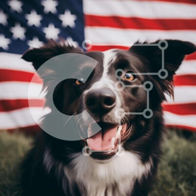 Intra Συλλεκτικό Ξύλινο Παζλ Plywood  4mm - Ευτυχισμένος ασπρόμαυρος σκύλος που κάθεται μπροστά από την αμερικανική σημαία Σε Ξύλινο Κουτί - Διαστάσεις: 10x10 cm – 25 κομμάτια - Image 1