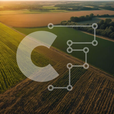 Intra Συλλεκτικό Ξύλινο Παζλ Plywood  4mm - Εναέρια άποψη του πράσινου χωραφιού με τις καλλιέργειες και τα δέντρα Σε Ξύλινο Κουτί - Διαστάσεις: 10x10 cm – 25 κομμάτια - Image 1