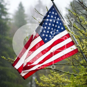 Intra Συλλεκτικό Ξύλινο Παζλ Plywood  4mm - Αμερικανική σημαία που συμβολίζει τον πατριωτισμό Σε Ξύλινο Κουτί - Διαστάσεις Puzzle: 10x10 cm – 25 κομμάτια