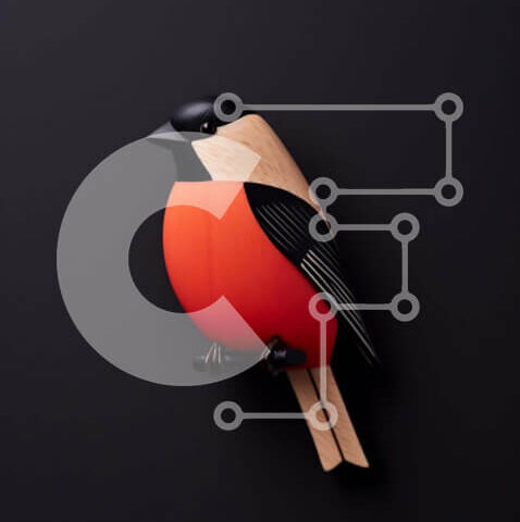 Intra Συλλεκτικό Ξύλινο Παζλ Plywood 4mm - Μικρό ξύλινο πουλί σκαρφαλωμένο στο κλαδί Σε Ξύλινο Κουτί - Διαστάσεις: 10x10 cm – 25 κομμάτια - Image 1