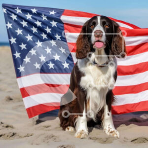 Intra Συλλεκτικό Ξύλινο Παζλ Plywood  4mm - Καφέ και λευκό σκυλί με αμερικανική σημαία στην παραλία Σε Ξύλινο Κουτί - Διαστάσεις: 10x10 cm – 25 κομμάτια