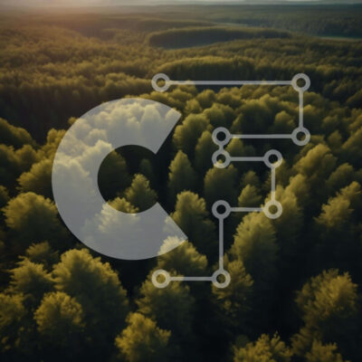 Intra Συλλεκτικό Ξύλινο Παζλ Plywood  4mm - Αεροφωτογραφία του δάσους με τα ψηλά πράσινα δέντρα και τον ήλιο που δύει Σε Ξύλινο Κουτί - Διαστάσεις: 10x10 cm – 25 κομμάτια - Image 1