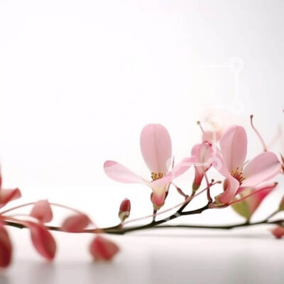 Intra Συλλεκτικό Ξύλινο Παζλ Plywood  4mm - Ροζ λουλούδια κλαδιά στο έδαφος Σε Ξύλινο Κουτί - Διαστάσεις: 10x10 cm – 25 κομμάτια - Image 1