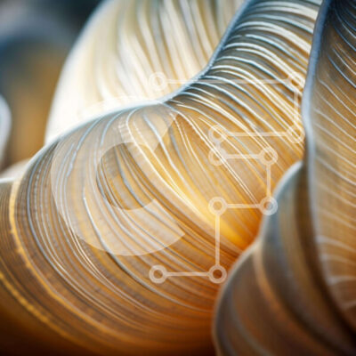 Intra Συλλεκτικό Ξύλινο Παζλ Plywood 4mm - Μανιτάρι με περίπλοκο σχήμα Σε Ξύλινο Κουτί - Διαστάσεις: 10x10 cm – 25 κομμάτια - Image 1