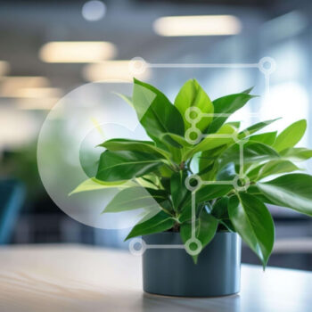 Intra Συλλεκτικό Ξύλινο Παζλ Plywood  4mm - Πράσινο φυτό σε γλάστρα στο τραπέζι γραφείου Σε Ξύλινο Κουτί - Διαστάσεις Puzzle: 10x10 cm – 25 κομμάτια - Image 1