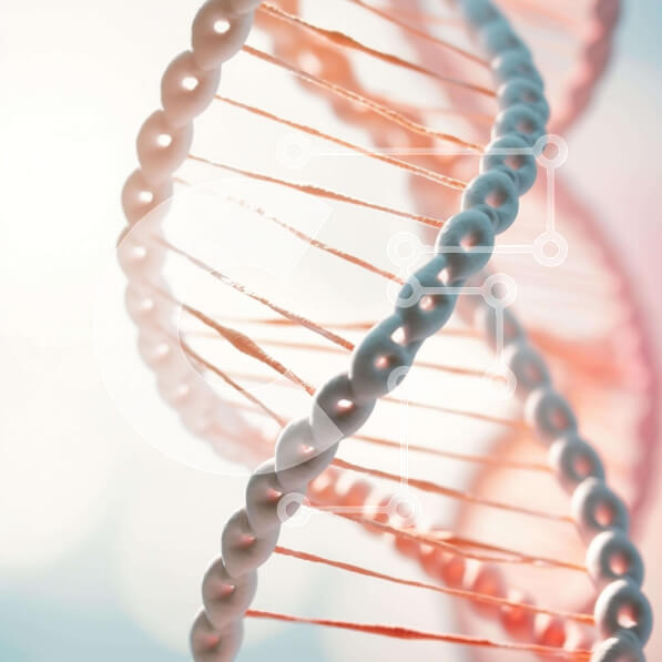 Intra Συλλεκτικό Ξύλινο Παζλ Plywood  4mm - Κοντινό πλάνο ροζ και λευκού σκέλους DNA με φόντο ήλιο Σε Ξύλινο Κουτί - Διαστάσεις Puzzle: 10x10 cm – 25 κομμάτια