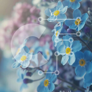 Intra Συλλεκτικό Ξύλινο Παζλ Plywood  4mm - Μπουκέτο Forget-Me-Not Flowers Σε Ξύλινο Κουτί - Διαστάσεις: 10x10 cm – 25 κομμάτια