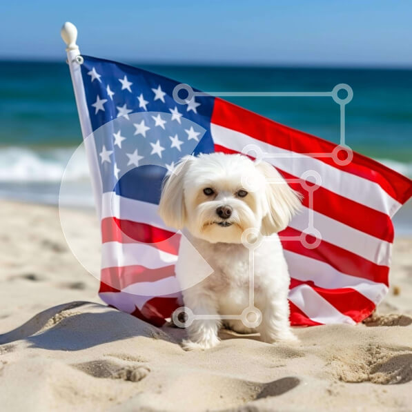 2ikB6sATvlsqkclcdzJhcevzqCj-desktop