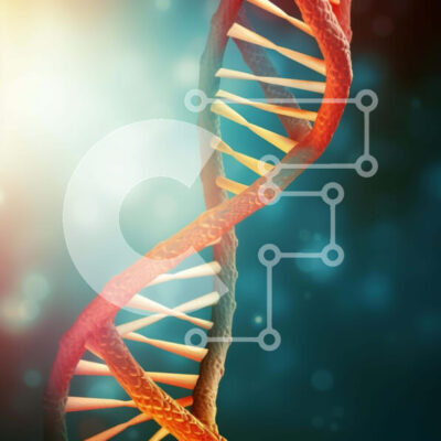 Intra Συλλεκτικό Ξύλινο Παζλ Plywood 4mm - Πολύχρωμο σκέλος DNA Σε Ξύλινο Κουτί - Διαστάσεις Puzzle: 10x10 cm – 25 κομμάτια - Image 1