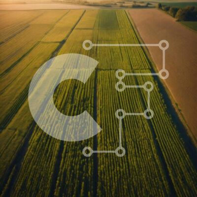 Intra Συλλεκτικό Ξύλινο Παζλ Plywood  4mm - Εναέρια άποψη του πράσινου πεδίου με τις καλλιέργειες στο ηλιοβασίλεμα Σε Ξύλινο Κουτί - Διαστάσεις: 10x10 cm – 25 κομμάτια - Image 1