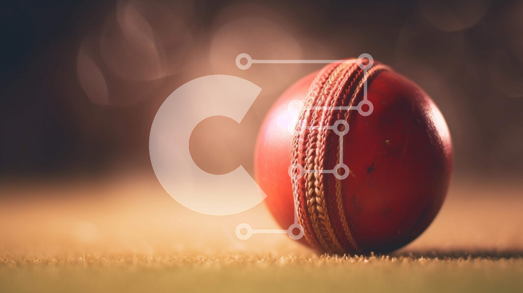 Intra Συλλεκτικό Ξύλινο Παζλ Plywood  4mm - Κόκκινη μπάλα κρίκετ στο γρασίδι Σε Ξύλινο Κουτί - Διαστάσεις Puzzle: 10x10 cm – 25 κομμάτια