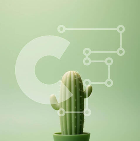 Intra Συλλεκτικό Ξύλινο Παζλ Plywood  4mm - Μικρό φυτό κάκτων σε πράσινη γλάστρα Σε Ξύλινο Κουτί - Διαστάσεις: 10x10 cm – 25 κομμάτια - Image 1