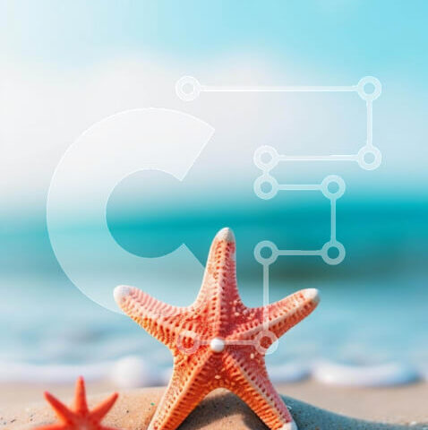 Intra Συλλεκτικό Ξύλινο Παζλ Plywood  4mm - Αστερίας δίπλα στον ωκεανό Σε Ξύλινο Κουτί - Διαστάσεις: 10x10 cm – 25 κομμάτια - Image 1