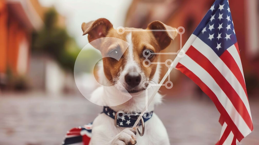 Intra Συλλεκτικό Ξύλινο Παζλ Plywood  4mm - Πατριωτικό σκυλί που κρατά την αμερικανική σημαία Σε Ξύλινο Κουτί - Διαστάσεις Puzzle: 10x10 cm – 25 κομμάτια