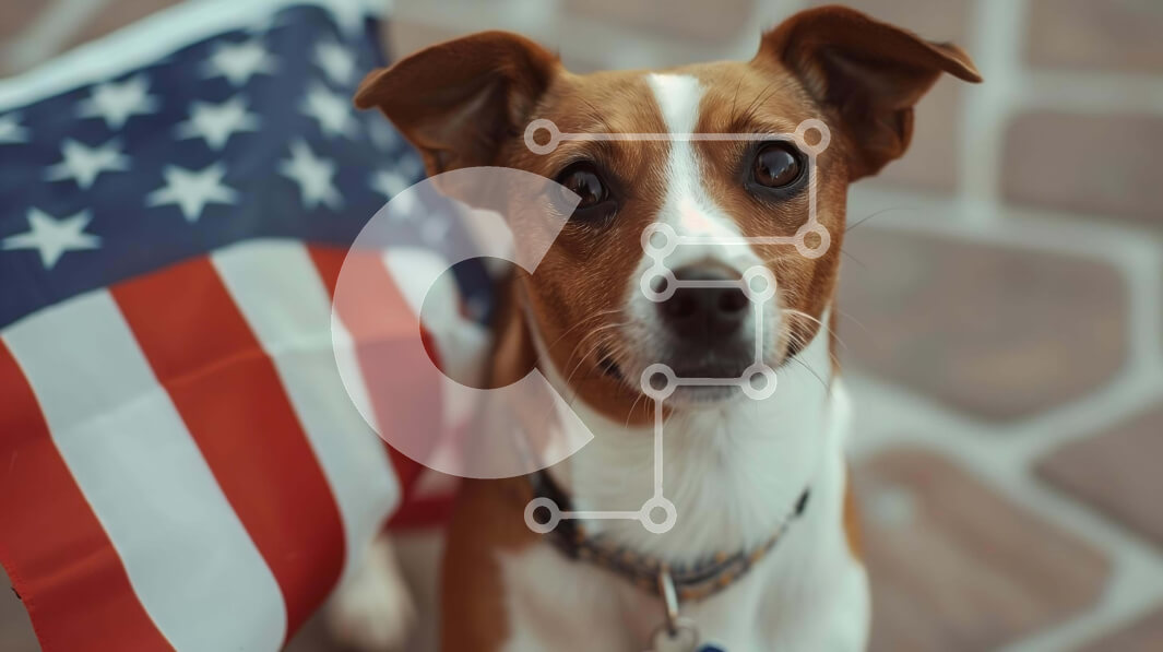 Intra Συλλεκτικό Ξύλινο Παζλ Plywood  4mm - Καφέ και λευκό σκυλί με αμερικανική σημαία Σε Ξύλινο Κουτί - Διαστάσεις: 10x10 cm – 25 κομμάτια