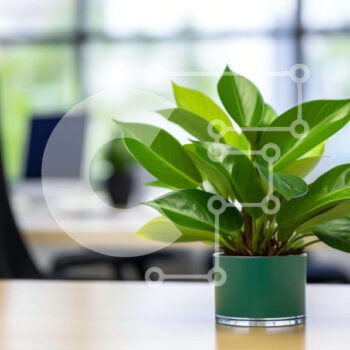 Intra Συλλεκτικό Ξύλινο Παζλ Plywood  4mm - Μικρό φυτό σε γλάστρα στο γραφείο Σε Ξύλινο Κουτί - Διαστάσεις Puzzle: 10x10 cm – 25 κομμάτια - Image 1