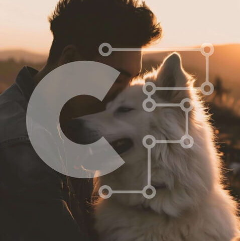 Intra Συλλεκτικό Ξύλινο Παζλ Plywood  4mm - Άνδρας που αγκαλιάζει το λευκό σκυλί στο ηλιοβασίλεμα Σε Ξύλινο Κουτί - Διαστάσεις Puzzle: 10x10 cm – 25 κομμάτια - Image 1