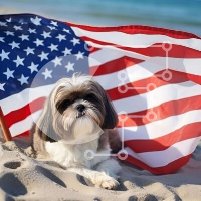 Intra Συλλεκτικό Ξύλινο Παζλ Plywood  4mm - Μικρό σκυλί στην παραλία με αμερικανική σημαία Σε Ξύλινο Κουτί - Διαστάσεις: 10x10 cm – 25 κομμάτια - Image 1