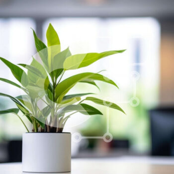 Intra Συλλεκτικό Ξύλινο Παζλ Plywood  4mm - Μικρό φυτό σε γλάστρα σε χώρο γραφείου Σε Ξύλινο Κουτί - Διαστάσεις Puzzle: 10x10 cm – 25 κομμάτια - Image 1